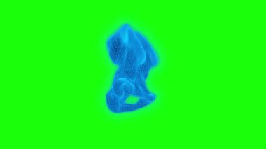 4k Anatomi Pelvis İskelet yeşil ekran teknoloji videosu. Anatomi Pelvis İskelet teknoloji videosu, Anatomi Pelvis İskelet 360 dönüş, Anatomi Pelvis İskelet kablo video