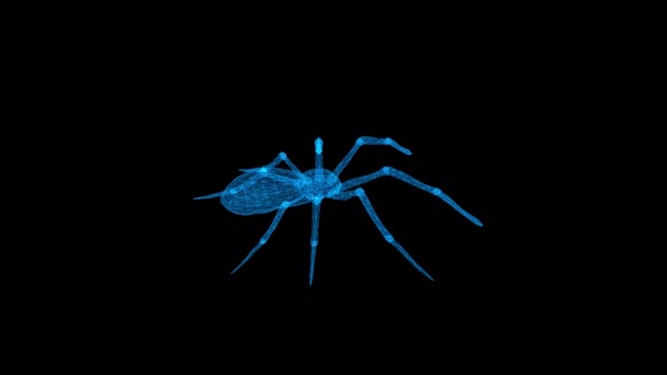 Επιδόρπιο Αράχνη Τεχνολογία Βίντεο Επιδόρπιο Αράχνη Τεχνολογία Βίντεο Επιδόρπιο Αράχνη — Αρχείο Βίντεο