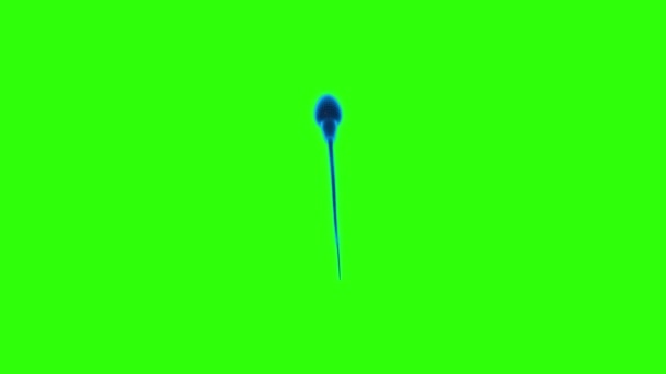 Spermă Ecran Verde Tehnologie Video Tehnologia Spermatozoizilor Video Spermatozoizilor 360 — Videoclip de stoc