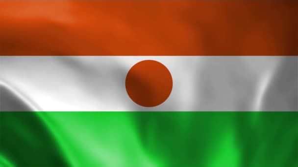 Niger Waving Flag Niger Flag Niger Flag Waving Animation Niger — Stock Video