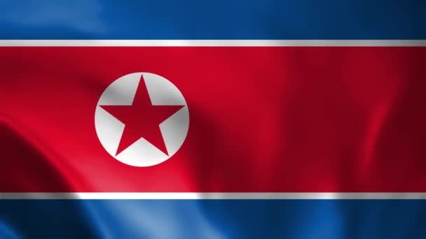 Gyönyörű Észak Koreai Zászló Videó Észak Korea Flag Slow Motion — Stock videók