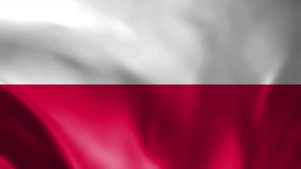 Flaga Polska Macha Flagą Polska Flaga Polska Flaga Macha Animacją — Wideo stockowe