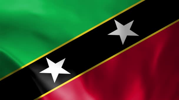 Saint Kitts Och Nevis Nationella Flagga Video Saint Kitts Och — Stockvideo