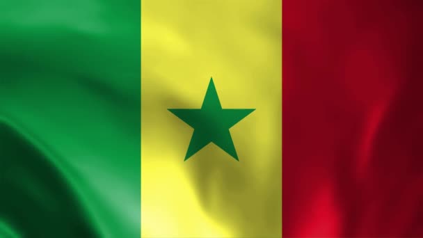 Senegal Waving Flag Senegal Flag Senegal Flag Waving Animation Senegal — Stockvideo