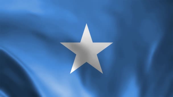 Szomália Zászlója Kiváló Minőségű Felbontás — Stock videók