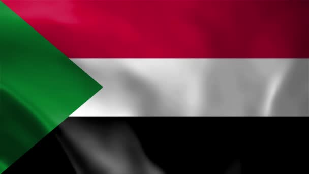 Sudan Flag Waving Wind — Stock Video