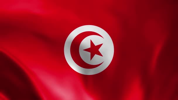 Tunesien Flagge Die Tunesische Nationalflagge Weht Die Flagge Tunesiens Weht — Stockvideo