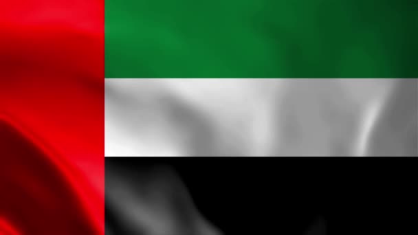 Uae Flag Waving Animation United Arab Emirates Flag Waving Wind — Stock Video