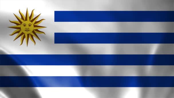 Прапор Уругваю Прапор Уругваю Ілюстрація Тканини Атласної Текстури Прапор Східної — стокове відео