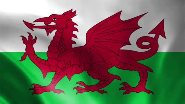 Флаг Уэльса Размахивает Ветром Бесшовная Петля Высокой Детализацией Текстуры Ткани — стоковое видео