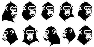 Bir maymun kafası siluet vektörünün kümesi