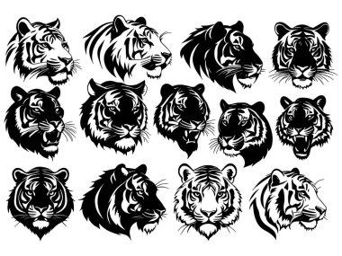 Bir kaplan kafası siluet vektör çizimi seti