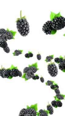 Blackberry ve Blackberry Girdap arkaplan videosu