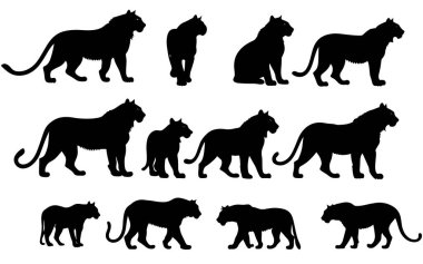 Bir kaplan silueti vektör çizimi