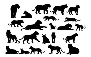 Bir kaplan silueti vektör çizimi