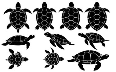 Kaplumbağa siluet vektörünün kümesi