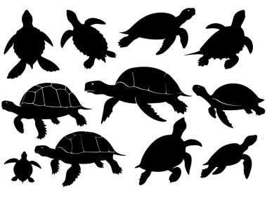 Kaplumbağa siluet vektörünün kümesi