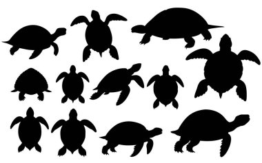 Kaplumbağa siluet vektörünün kümesi