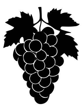 Yaprak vektör resimli üzüm