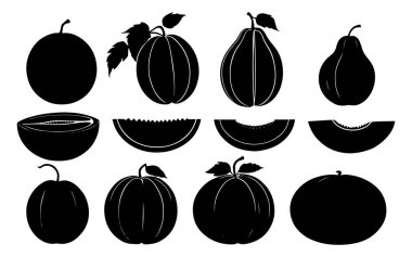 Kavun vektör görüntüsü kümesi