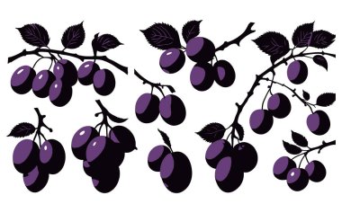 Erik vektör resim silueti seti, erik çizimi, erik işareti