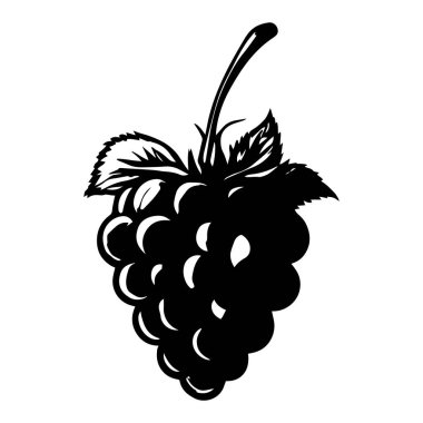 ahududu furit vektör tasarımı işareti