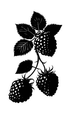 ahududu furit vektör tasarımı işareti