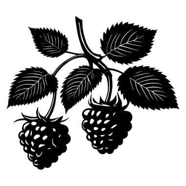 ahududu furit vektör tasarımı işareti