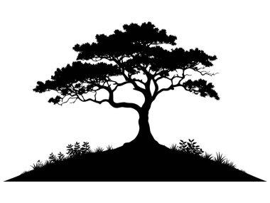 Yaz aylarında izole edilmiş beyaz arka planda büyük ağaç silueti