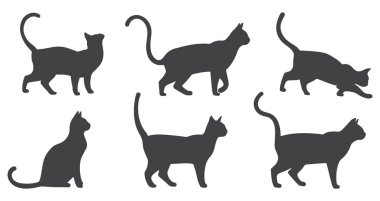 vektör kedi Icon set.