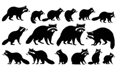 Grafik Tasarımı için Rakun Silueti Paketi