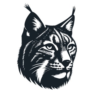 Luchs Silueti Beyaz Arkaplan Bobcat Logo Tasarımı Lynx Rufus Vector Markalaşma İllüstrasyonu