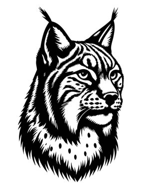 Luchs Silueti Beyaz Arkaplan Bobcat Logo Tasarımı Lynx Rufus Vector Markalaşma İllüstrasyonu
