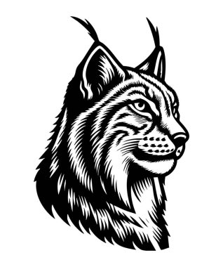 Luchs Silueti Beyaz Arkaplan Bobcat Logo Tasarımı Lynx Rufus Vector Markalaşma İllüstrasyonu