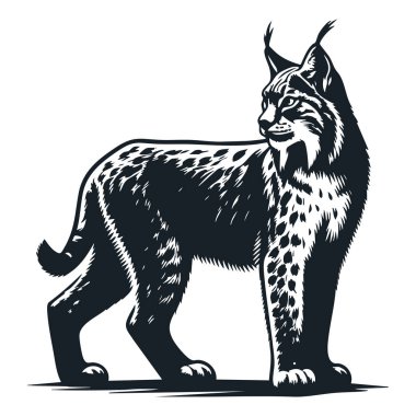 Amblem İçin Saldırgan Luchs Silueti