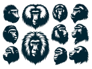 Babun Siluet Vektörü, Beyaz Üzerine Babun Hayvan Silueti, Babun Vektör İllüstrasyonu,