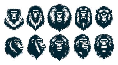 Babun Siluet Vektörü, Beyaz Üzerine Babun Hayvan Silueti, Babun Vektör İllüstrasyonu,