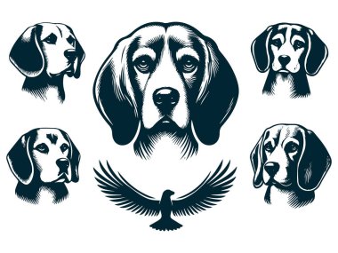 Logo Tasarımı için Beagle Silhouette, Beagle Dog Standing Silhouette, Beagle Pet Silhouette Vector