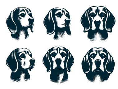 Logo Tasarımı için Beagle Silhouette, Beagle Dog Standing Silhouette, Beagle Pet Silhouette Vector