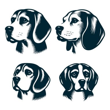 Logo Tasarımı için Beagle Silhouette, Beagle Dog Standing Silhouette, Beagle Pet Silhouette Vector