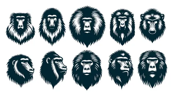 Babun Siluet Vektörü, Beyaz Üzerine Babun Hayvan Silueti, Babun Vektör İllüstrasyonu,