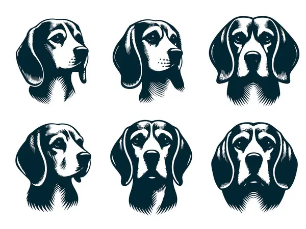 Logo Tasarımı için Beagle Silhouette, Beagle Dog Standing Silhouette, Beagle Pet Silhouette Vector