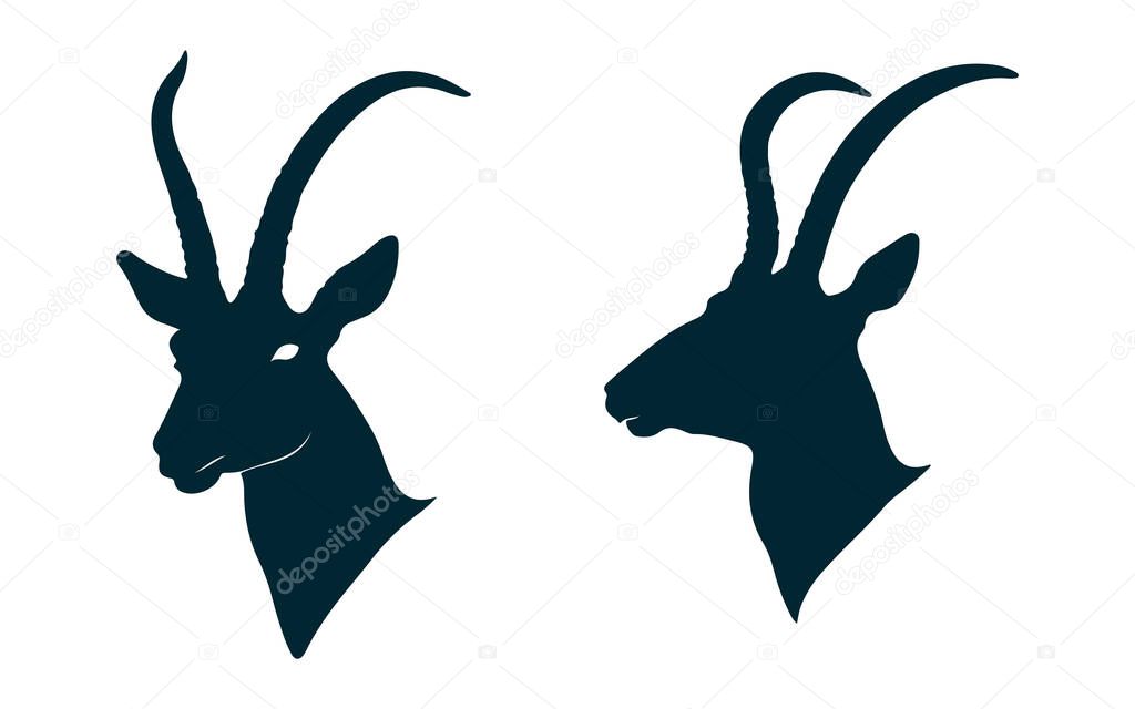 Set of Antelope Animal Silhouette on White, Wild Antelope Vector Illustration