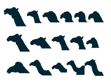 Tek hörgüçlü deve silueti vektör grafiği