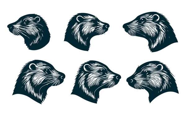 Kunduz Silueti Vektörü, Beyaz Arkaplanda Kunduz Vektörü, Kunduz Hayvanı Silueti