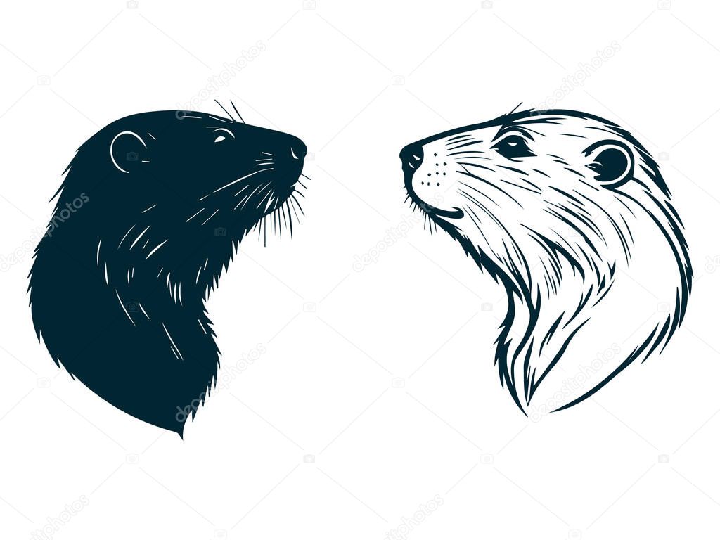 Beaver Silhouette Vector, Beaver Vector on White Background, Beaver Animal Silhouette