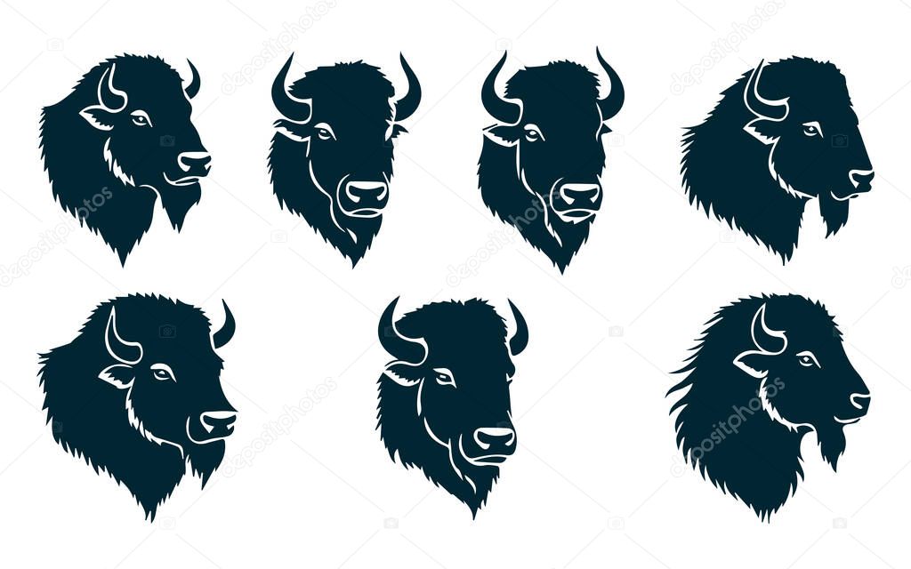 Bison Silhouettes Vector, Bison Animal Vector on White Background