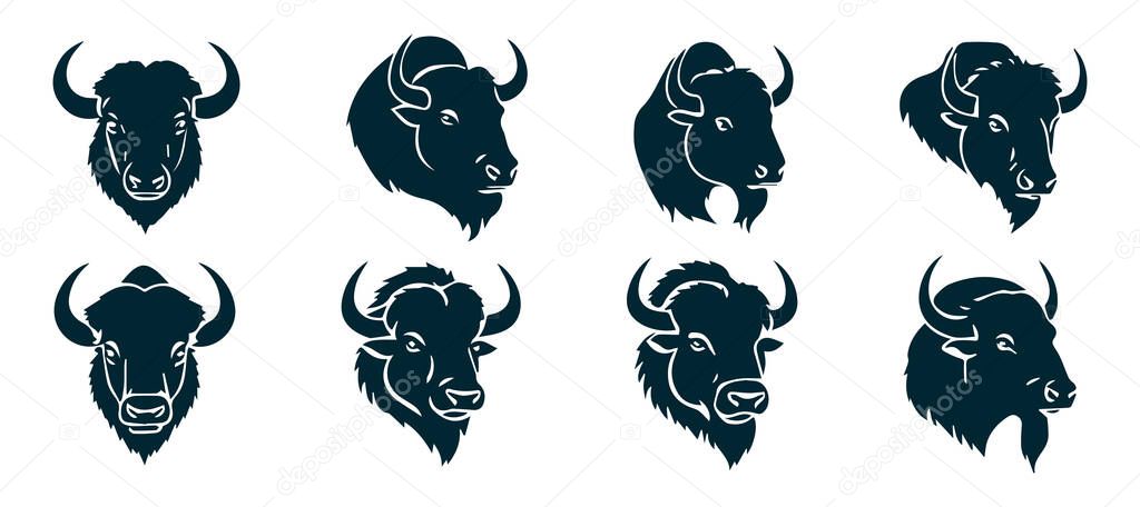 Elegant Buffalo Vector Shape Silhouette  Isolated Graphic on White
