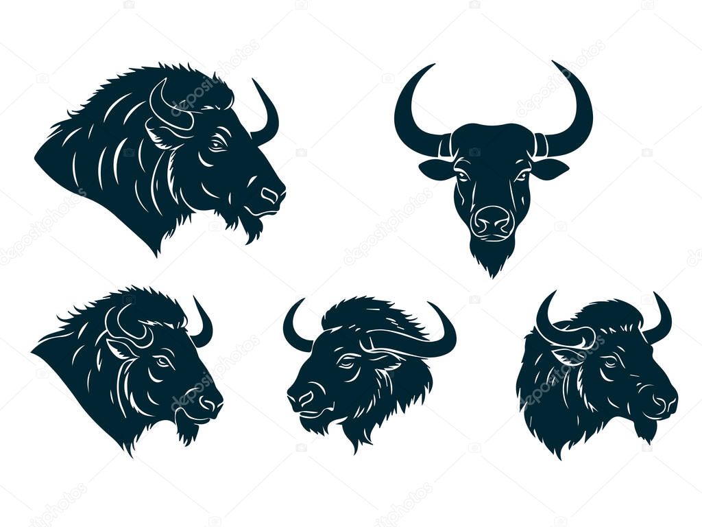 Powerful Prairie Buffalo Silhouette  Vector Illustration for Print and Web