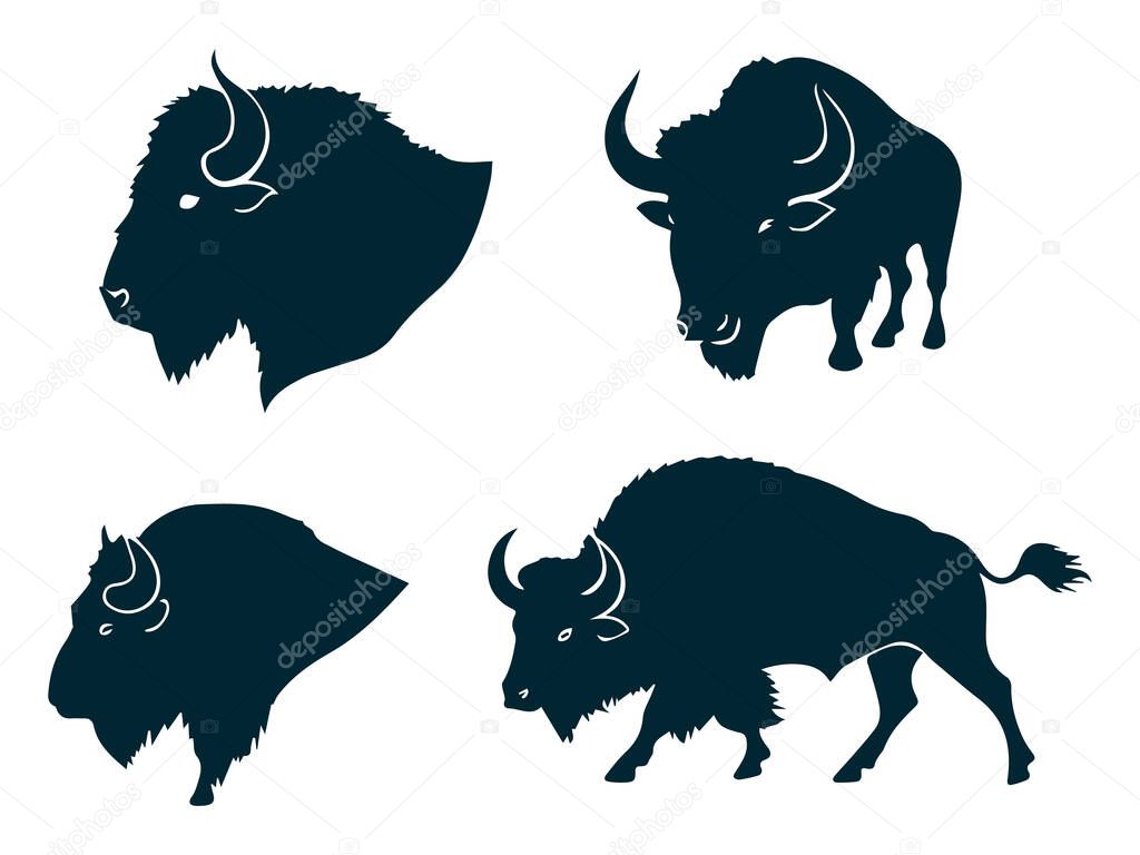 Detailed Buffalo Mammal Silhouette  Editable Vector on White Background